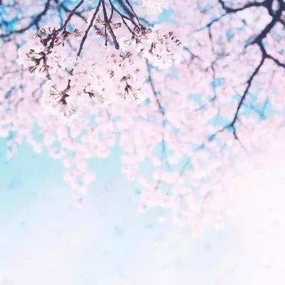 不灭的战士手游百度版下载